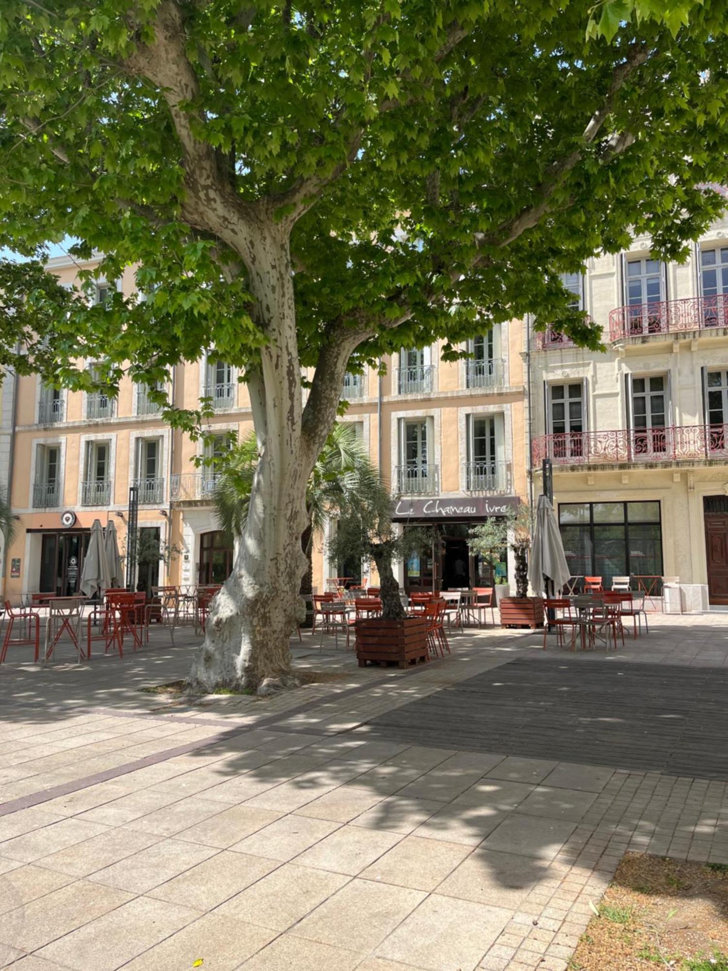 Joli Appartement Hypercentre T2, Classe Meuble De Tourisme 3 Avec Parking Gratuit Beziers Bagian luar foto